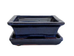 Ceramic Bonsai Pot/Saucer -DarkBlue Rect Flare-6 1/8" X 4 1/2" X 2" + Felt Feet