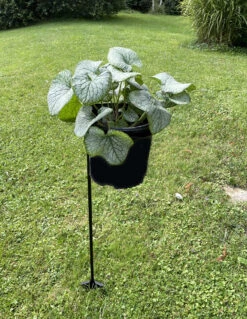 Outdoor Hanging Basket/Plant Stand - Use With Standard 10" Pots - 40" Tall -Plant Shop brunntoppltstn 61932.1693511364