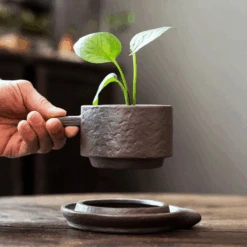 Creative Ceramic Planter With Saucer & Live Peperomia Plant 7 Creative Ceramic Planter With Saucer & Live Peperomia Plant -Plant Shop hirtcoffee3 93891.1693163957