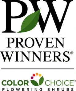 Berry Heavy® Winterberry - Ilex - Vivid - Also Bonsai! - Proven Winner 5 Berry Heavy® Winterberry - Ilex - Vivid - Also Bonsai! - Proven Winner -Plant Shop proven20winners 39649.1615344573